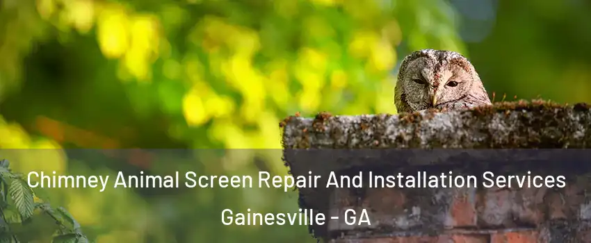  Chimney Animal Screen Repair And Installation Services Gainesville - GA