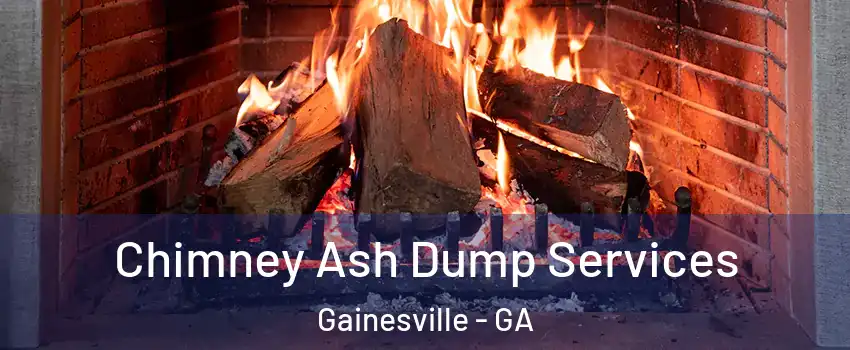  Chimney Ash Dump Services Gainesville - GA