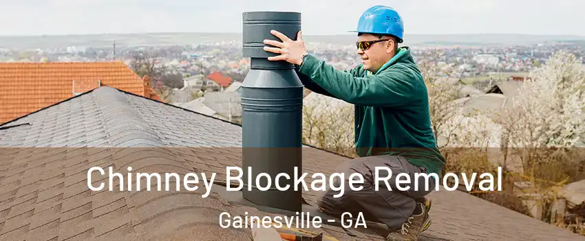  Chimney Blockage Removal Gainesville - GA