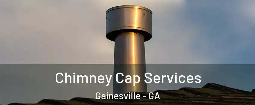  Chimney Cap Services Gainesville - GA