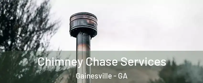  Chimney Chase Services Gainesville - GA
