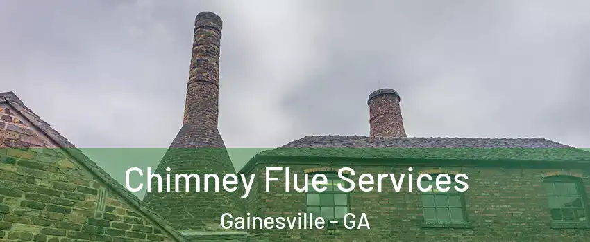  Chimney Flue Services Gainesville - GA