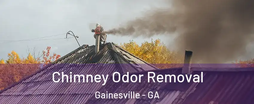  Chimney Odor Removal Gainesville - GA