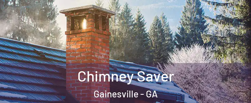  Chimney Saver Gainesville - GA