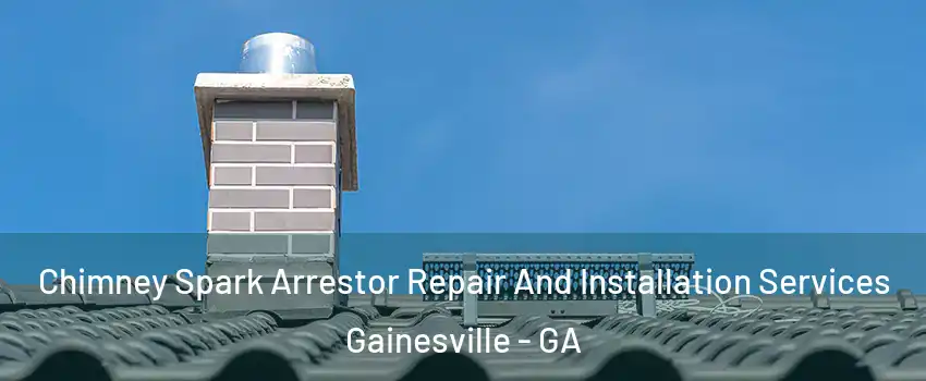  Chimney Spark Arrestor Repair And Installation Services Gainesville - GA