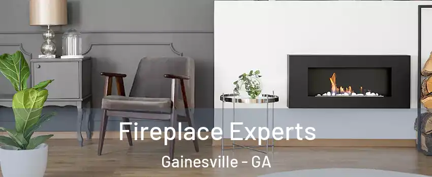  Fireplace Experts Gainesville - GA