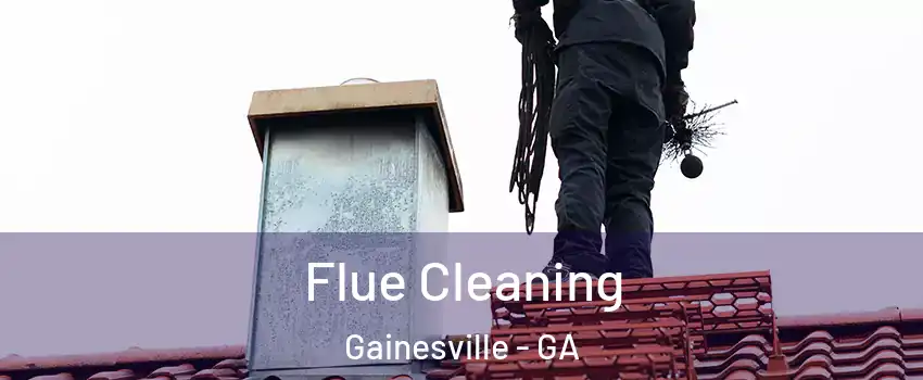  Flue Cleaning Gainesville - GA