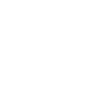 Professional Chimney Flue Installation in Gainesville, Georgia