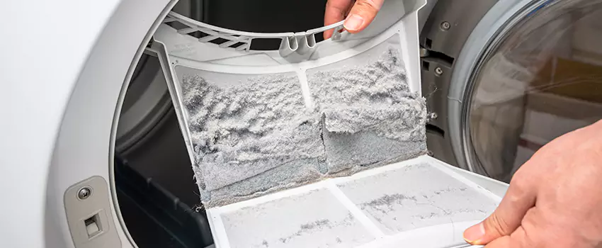 Best Dryer Lint Removal Company in Gainesville, Georgia