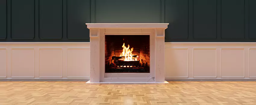 Napoleon Electric Fireplaces Inspection Service in Gainesville, Georgia