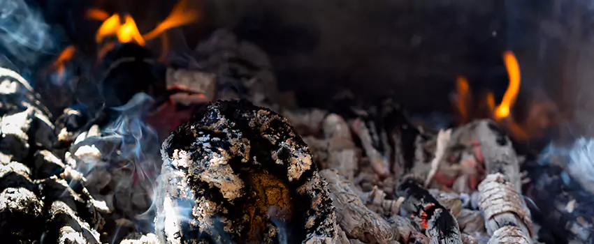 Creosote Removal Experts in Gainesville, GA