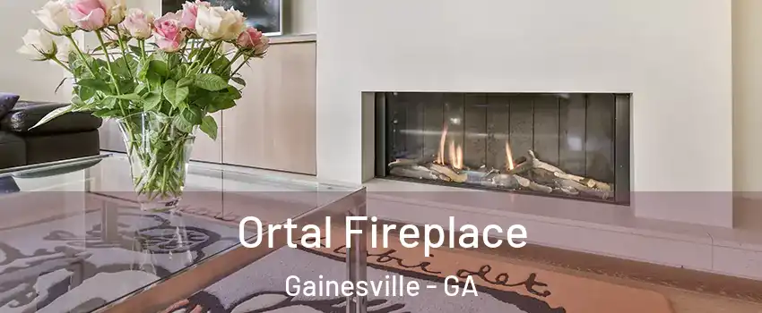  Ortal Fireplace Gainesville - GA